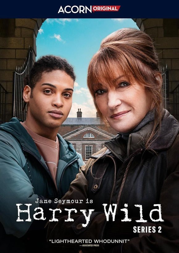 Harry Wild: Series 2 (DVD)