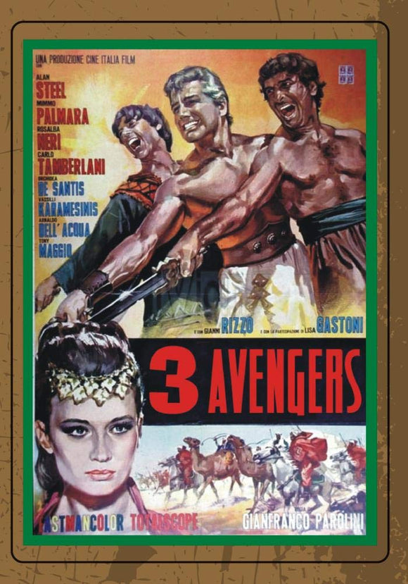 3 Avengers (DVD-R)
