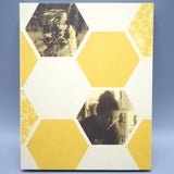 20,000 Species of Bees (Limited Edition Slipcover BLU-RAY)