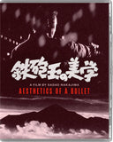 Blu-Ray cover of 'Aesthetics of a Bullet' with mountain and person design
