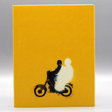 Chronicles of a Wandering Saint (US Import Limited Edition Slipcover BLU-RAY)