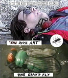 David "The Rock" Nelson Collection: Volume 2 (US Import Limited Edition Slipcover BLU-RAY)