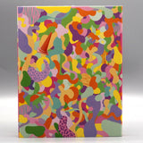 Desert of Namibia (US Import Limited Edition Slipcover BLU-RAY)