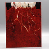 I Am Not a Witch (US Import Limited Edition Slipcover BLU-RAY)