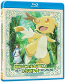 Reincarnated as a Dragon Hatchling : Season 1 (US Import BLU-RAY) Release Date October 20/26