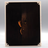 Raging Grace (US Import Limited Edition Slipcover BLU-RAY)