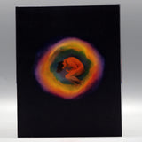 Warm Water Under A Red Bridge (US Import Limited Edition Slipcover BLU-RAY)