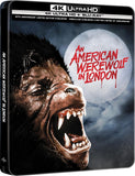 American Werewolf In London (Limited Edition Steelbook 4K UHD/BLU-RAY Combo) Coming to Our Shelves October 2026