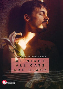 At Night All the Cats Are Black (DVD)