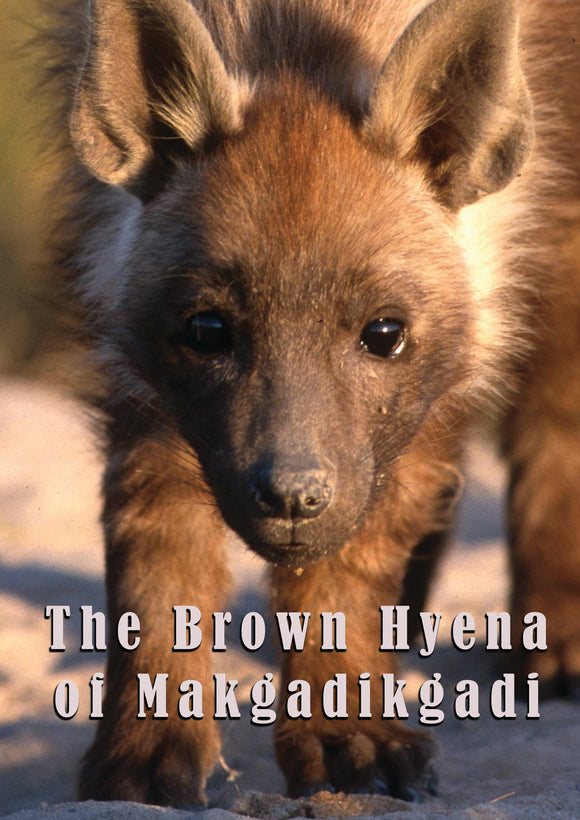Brown Hyena Of Makgadikgadi, The (DVD) Pre-Order April 2/24 Release Date May 7/24