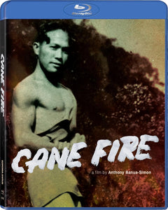 Cane Fire (US Import BLU-RAY) Coming to Our Shelves February 2025