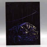 Consumed (US Import Limited Edition Slipcover BLU-RAY)