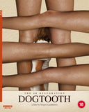 Dogtooth (UK Import 4K UHD) Coming to Our Shelves March 2026