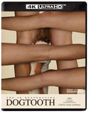 Dogtooth (US Import 4K UHD/BLU-RAY Combo)