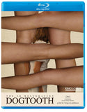 Dogtooth (US Import BLU-RAY)