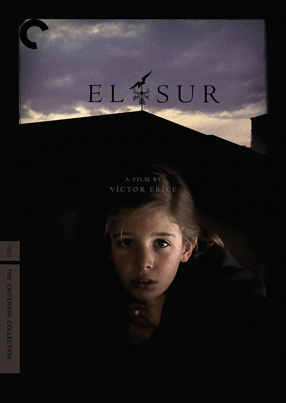 El Sur (DVD)