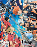 HAIKYU!! - Movie: The Dumpster Battle (Steelbook BLU-RAY)