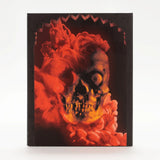 Hand of Night, The (US Import Limited Edition Slipcover BLU-RAY) Coming to Our Shelves July 2026