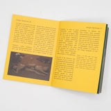 Films of Hisayasu Satô, The: Volume #3 - Kyrie Eleison / Rafureshia / Turtle Vision (US Import Limited Edition Slipcase BLU-RAY)