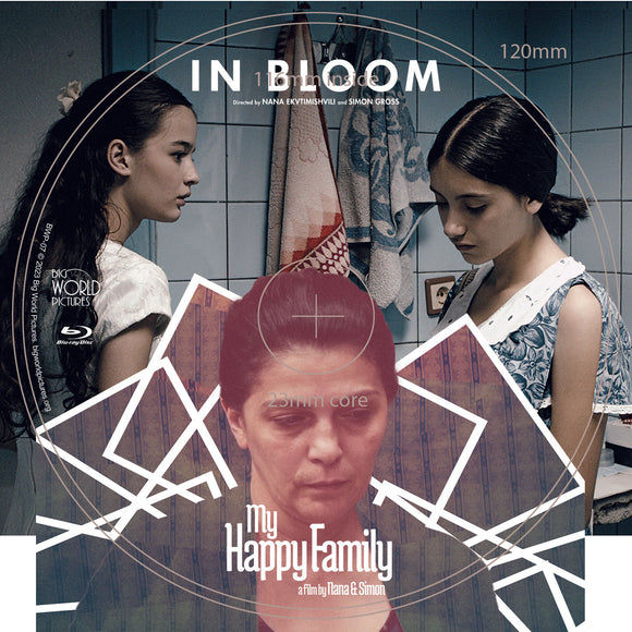 In Bloom / My Happy Family (BLU-RAY)