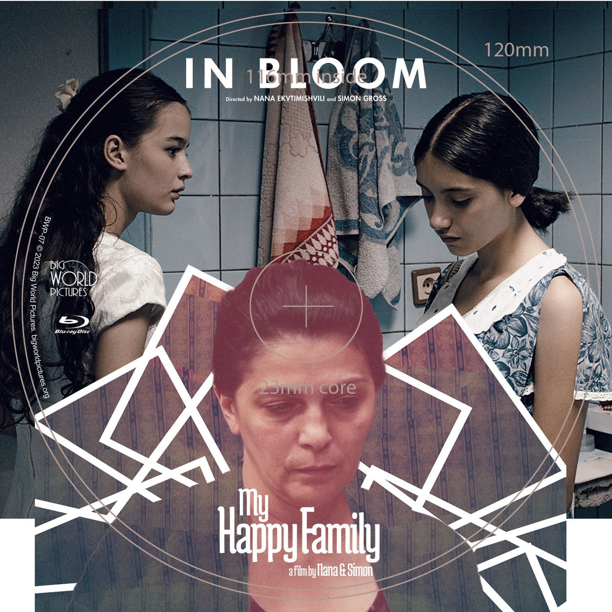 In Bloom / My Happy Family (Limited Edition Slipcover BLU-RAY ...