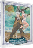 Is It Wrong to Try to Pick Up Girls in a Dungeon!?: Season 1 (Limited Edition Steelbook BLU-RAY)