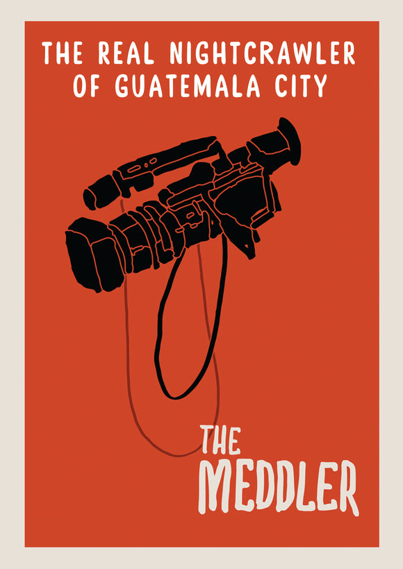 Meddler, The (DVD)