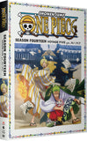 One Piece: Season 14: Voyage 5 (BLU-RAY/DVD Combo)