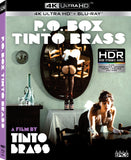 P.O. Box Tinto Brass (4K UHD/BLU-RAY Combo) Coming to Our Shelves August 2026