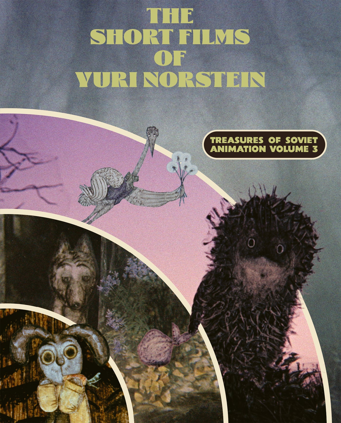 Russia – Videomatica Ltd (since 1983)