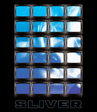 Sliver (Limited Edition Slipcase 4K UHD/BLU-RAY Combo) Release Date January 28/25