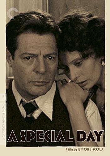 Special Day, A (DVD)