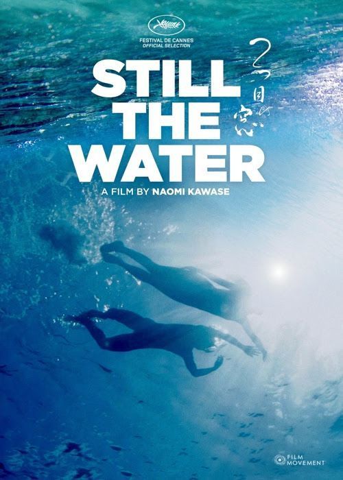 Still The Water (DVD)