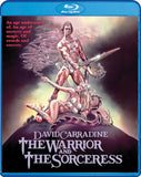 Blu-ray cover of 'The Warrior and The Sorceress' featuring a warrior and sorceress on a mountain.