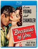 Film Noir: The Dark Side of Cinema V (Because of You / Outside the Law / The Midnight Story) (BLU-RAY)