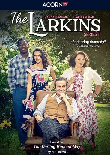 Larkins, The: Series 1 (DVD)