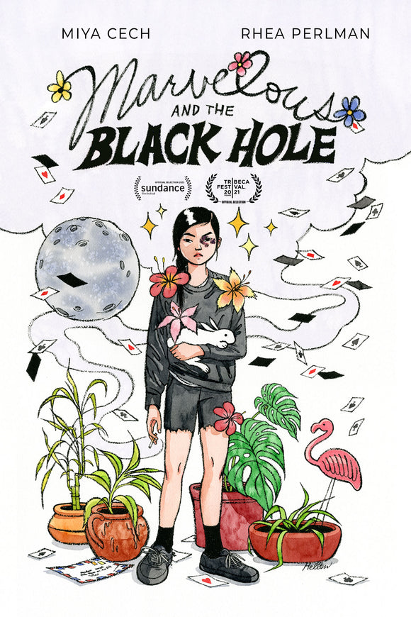 Marvelous And The Black Hole (DVD)