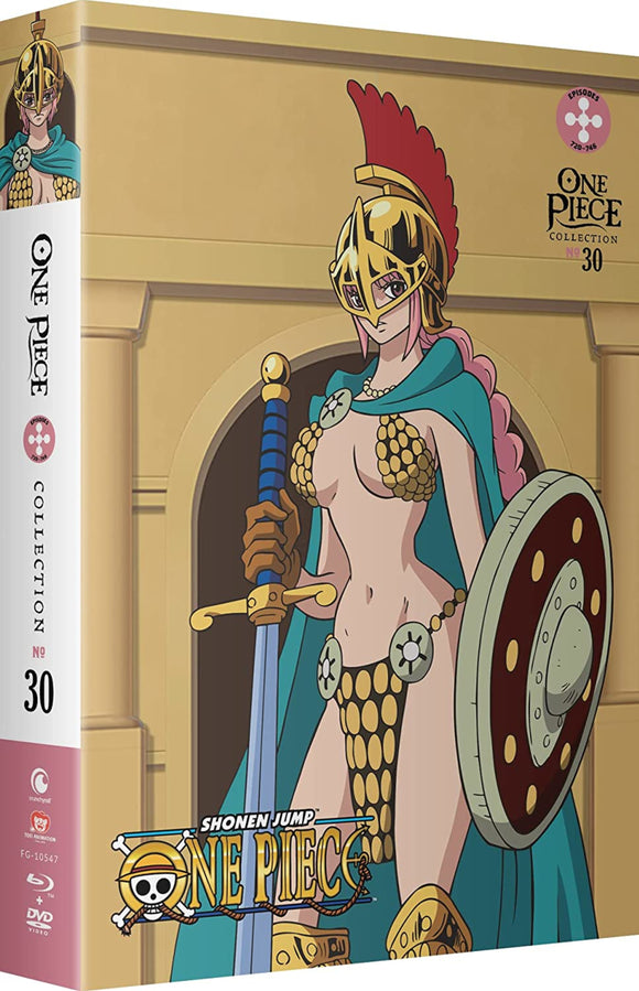 One Piece: Collection 30 (BLU-RAY/DVD Combo)