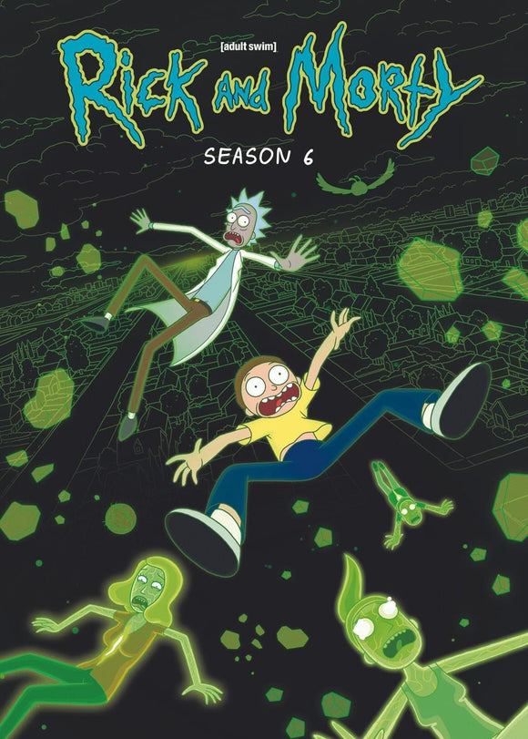 Rick and Morty: Season 6 (DVD)