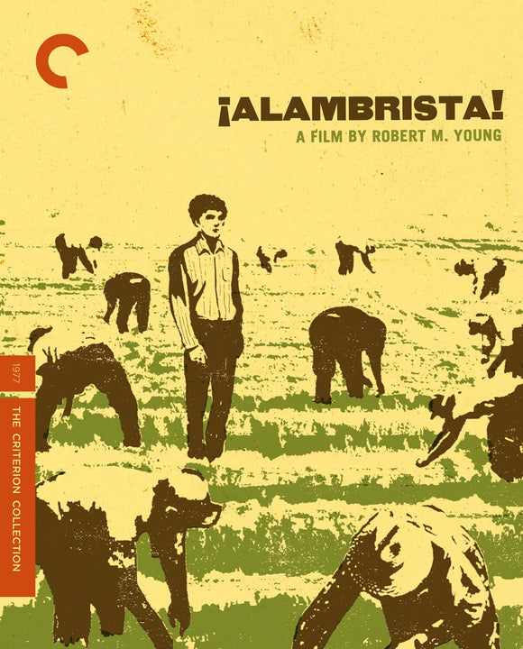 ¡Alambrista! (DVD)